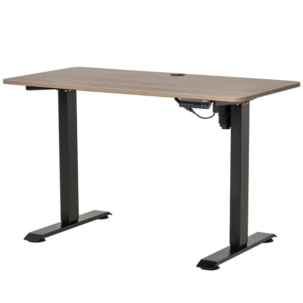 Höj- och sänkbart skrivbord - Datorskrivbord - Elektriskt - 4 Minneslägen - 120 x 60 cm - Höjd upp till 116 cm - Rektangulär - Svart