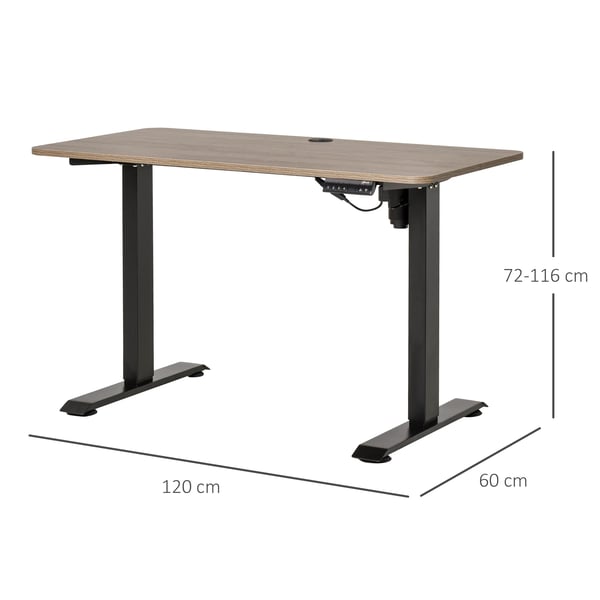 Höj- och sänkbart skrivbord - Datorskrivbord - Elektriskt - 4 Minneslägen - 120 x 60 cm - Höjd upp till 116 cm - Rektangulär - Svart