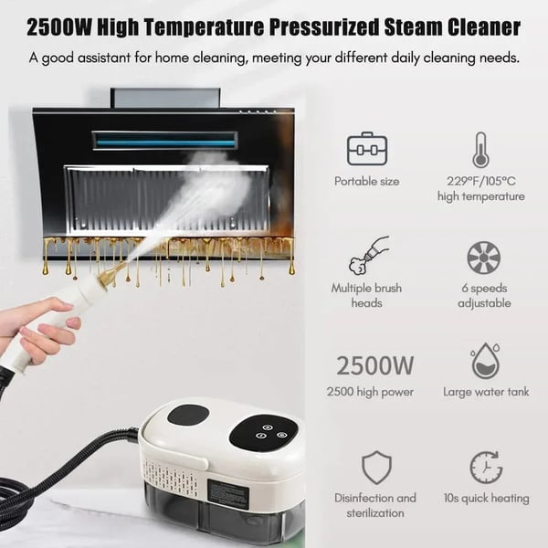 Höyrypuhdistin - Käsikäyttöinen - 2500 W - 1100 ml Säiliö - Korkeapainehöyry - 220 V EU-pistoke - 5+ Lämpötila-asetusta - Valkoinen