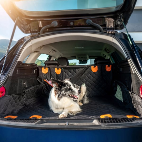 Bilsædebeskytter til hund - Autosædebetræk - PU-materiale - Med sikkerhedssele - Til alle årstider