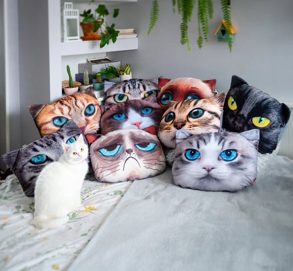 Kattemotiv Pyntepude - Sofapude - Rektangulær 30×45 cm - Printet mønster - Polyester/Bomuld - PE-skumfyld