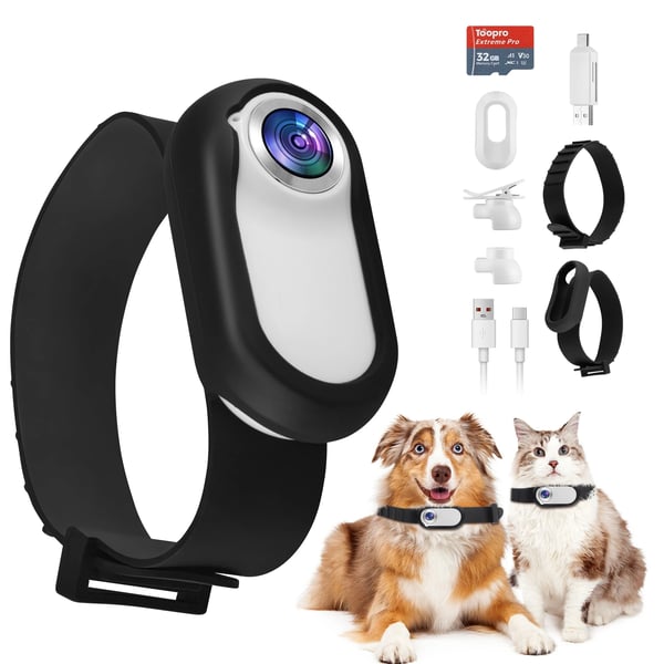 Hundehalsbånd med kamera - 1080p video - 170° vidvinkel - 32 GB SD-kort - USB-genopladelig - Nylon - Sort