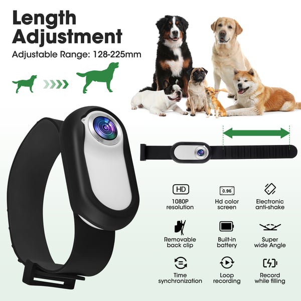 Hundehalsbånd med kamera - 1080p video - 170° vidvinkel - 32 GB SD-kort - USB-genopladelig - Nylon - Sort