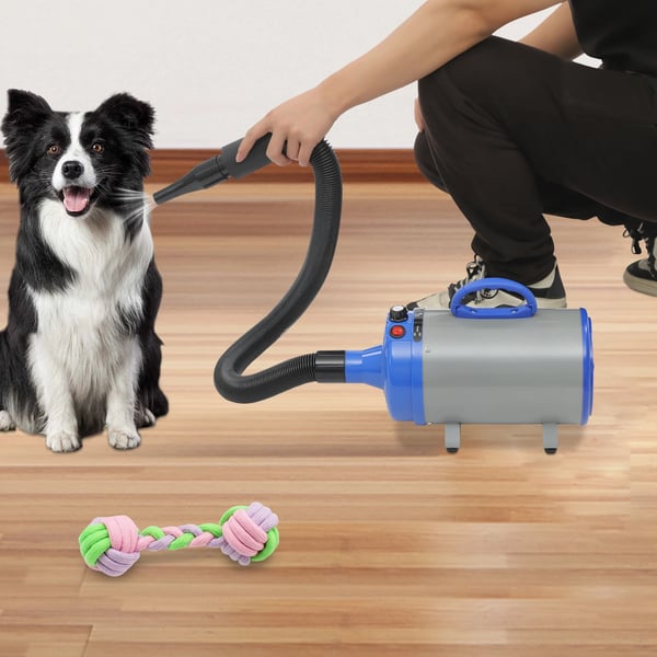 2200 W kæledyrs føntørrer, til hund/kat, justerbar blæsehastighed, 4 dyser, pink