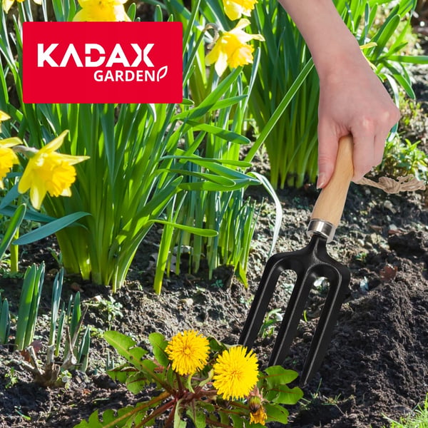 Omplantningsgaffel til blomster - Håndgaffel med 3 tænder - Til plantning og ompotning - Haveværktøj