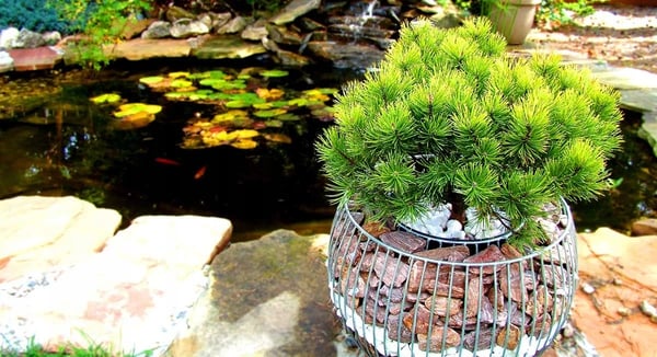 Gabion plantekrukke - Rund stål-gabion - 66 cm - Sølv