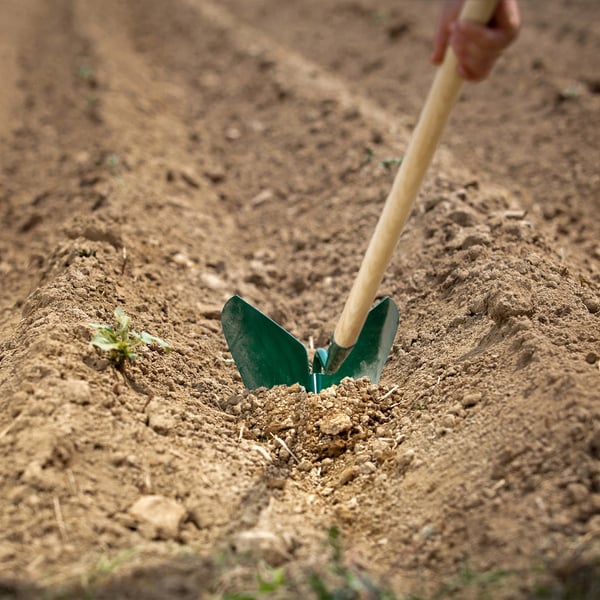 Havespade/Skovl - Med Skaft - 149 cm Længde - Stor