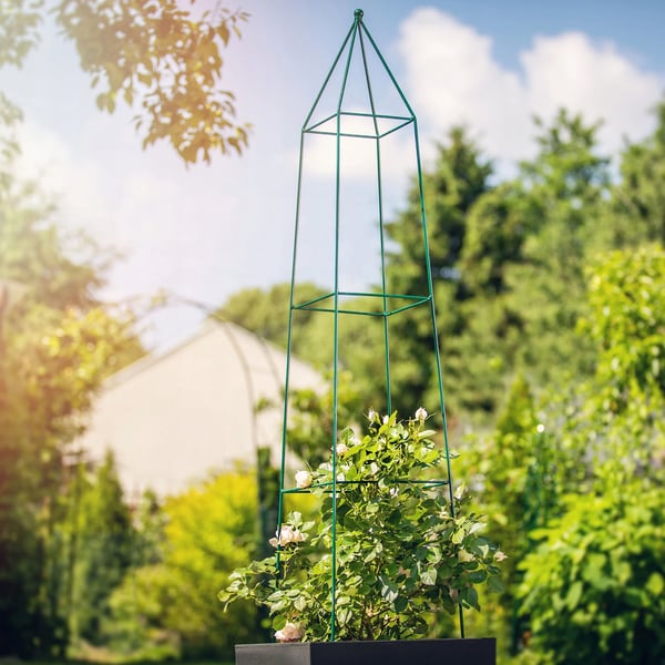 Haveobelisk - Pyramide-espalier til klatreroser og klatreplanter - Højde 150 cm - Mørkegrøn