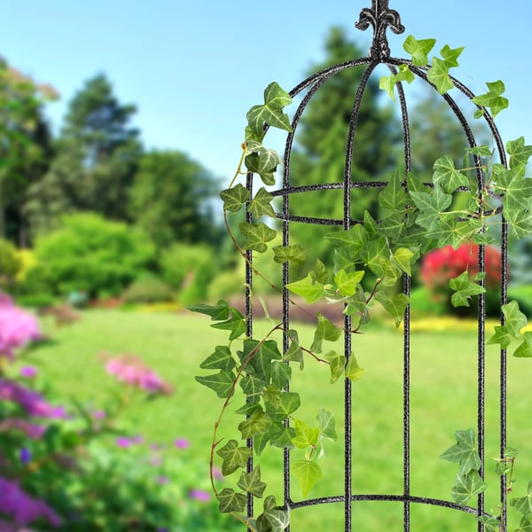 Haveespalier - Pergola Plantestøtte - Til Klatreplanter - Højde 100 cm - Sort