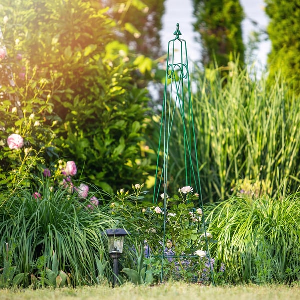 Havespalier - Pyramide pergola - Til klatreplanter - Til roser - Plantestøtte - Mørkegrøn
