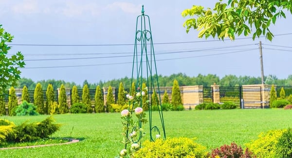 Havespalier - Pyramide pergola - Til klatreplanter - Til roser - Plantestøtte - Mørkegrøn