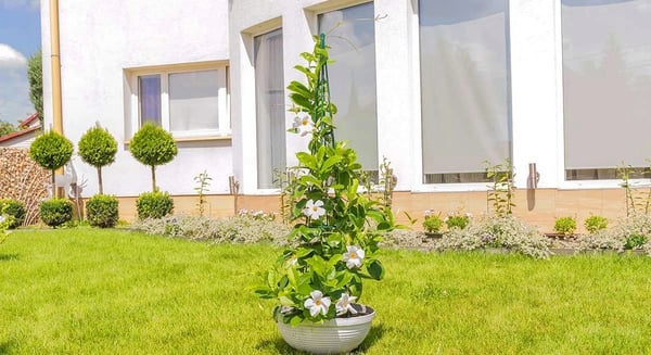 Plantestøtte til haven - Kegleformet - Højde 150 cm - Til klatreplanter - Mørkegrøn