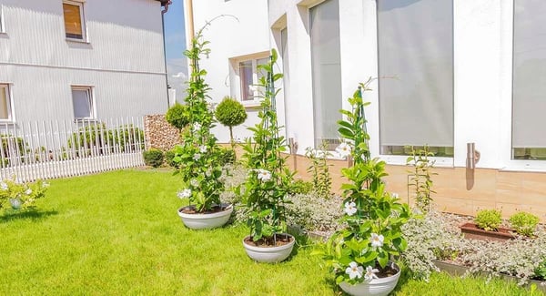 Plantestøtte til haven - Kegleformet - Højde 150 cm - Til klatreplanter - Mørkegrøn