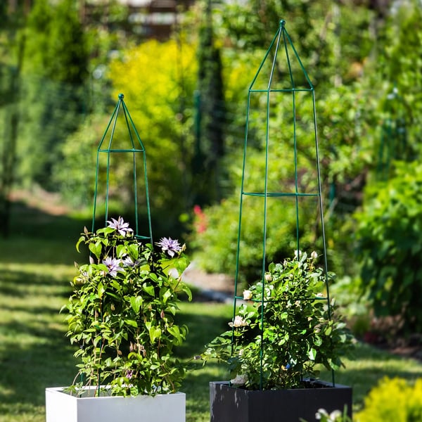 Havespalier/Klatrestativ - Obelisk/Pyramide-søjle - Metal - Til klatreroser og klatreplanter - Højde 120 cm - Mørkegrøn