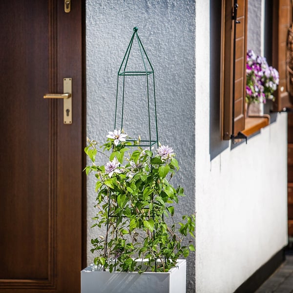 Havespalier/Klatrestativ - Obelisk/Pyramide-søjle - Metal - Til klatreroser og klatreplanter - Højde 120 cm - Mørkegrøn