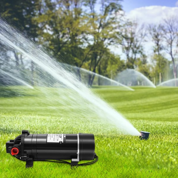 Vandpumpe - DP-160M 3-kammer membranpumpe - Selvsugende 0,5–1 m - Max 160 psi (11 bar) - 220V EU-stik - Kabel 1,9 m