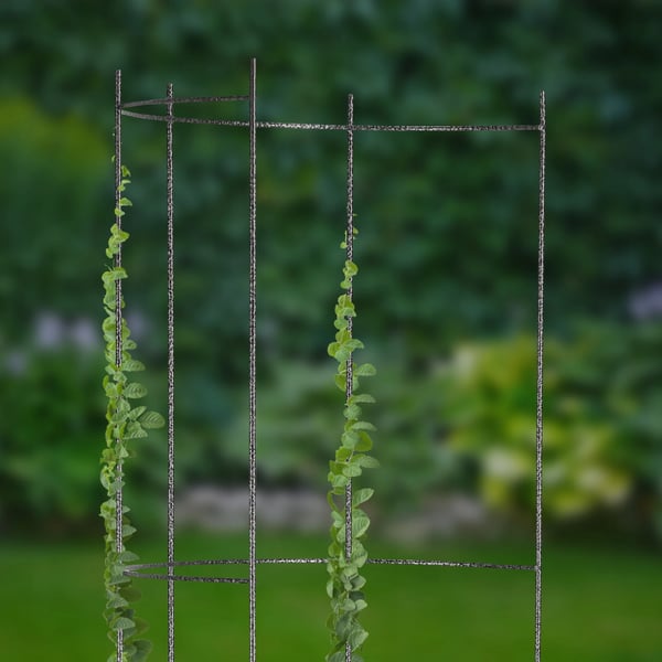 Havepergola - Metal Klatrestativ/Espalier - 150 cm Højde - Til roser og klatreplanter - Robust - Sort