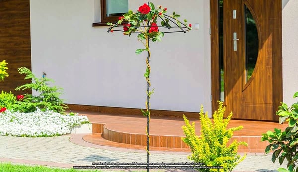 Havespalier - Plantestøtte til klatreplanter - Metal - Højde 190 cm - Til roser & vedbend - Sort