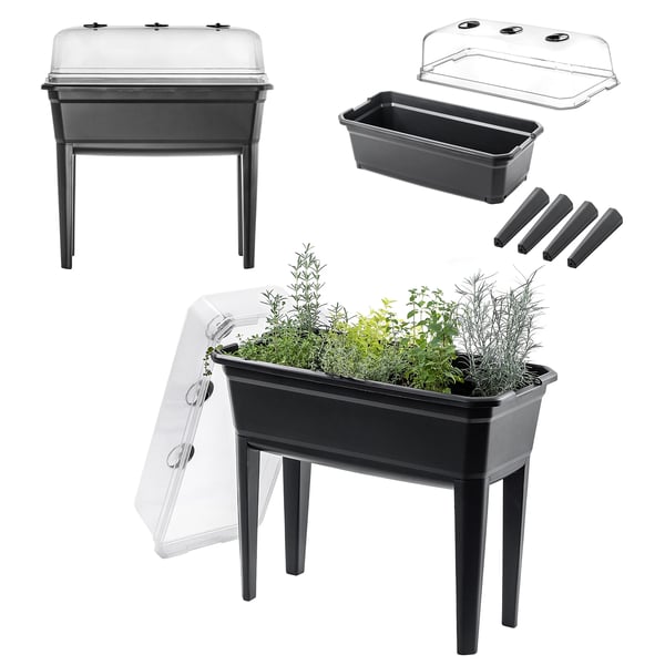 Mini drivhus - Indendørs drivhus - 75 cm - 42 L - Til frøsåning og forspiring