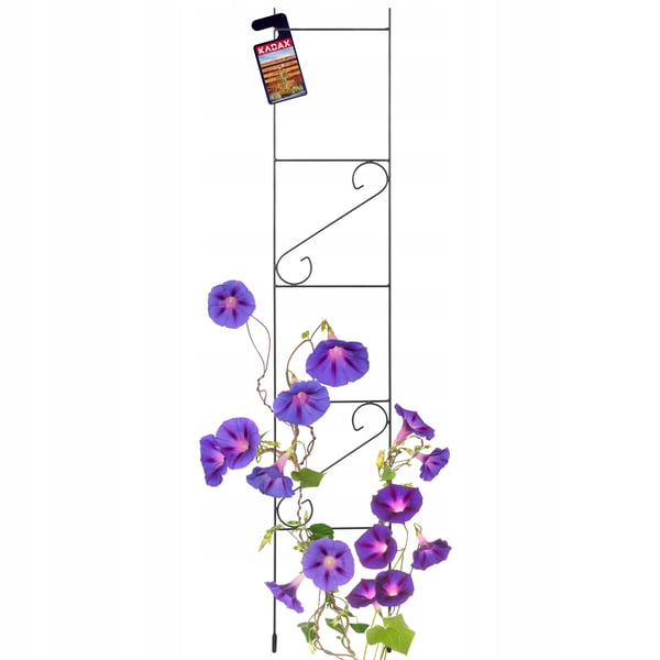 Haveespalier - Rosenstøtte & klatrestativ - 150 cm - Stigeformet - Til klatreplanter & roser - Sort