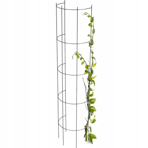 Rosespalier og plantestøtte til haven - Metal søjle - Højde 120 cm - Sort