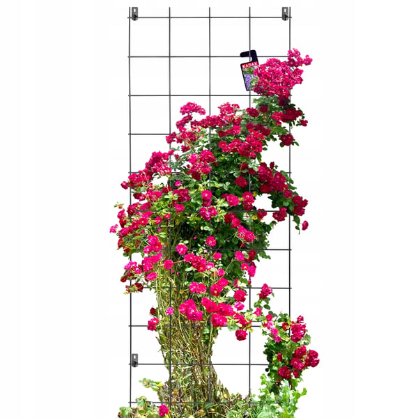 Haveespalier - Metal Klatrestativ - 65x170 cm - Til Roser & Klatreplanter - Sort