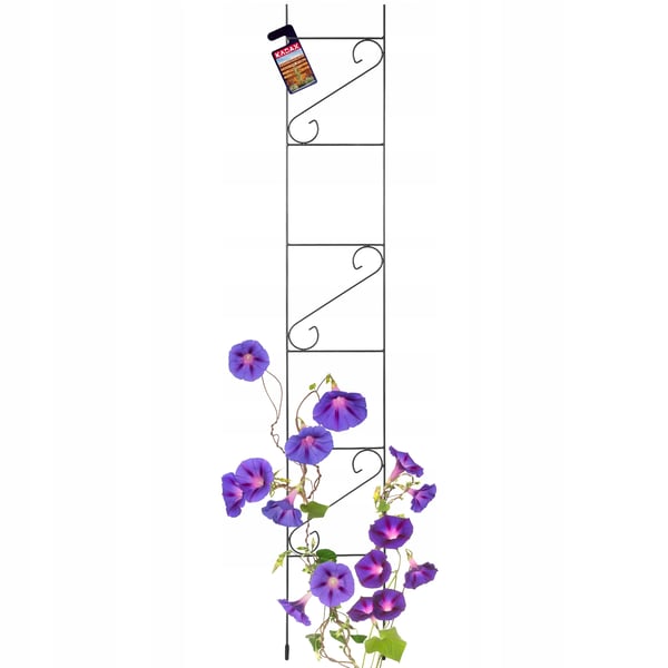 Have-espalier - Metal klatrestativ - 180 cm højde - Til klatreplanter og roser - Stigemodel - Sort