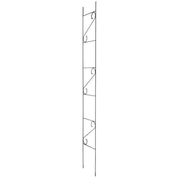 Have-espalier - Metal klatrestativ - 180 cm højde - Til klatreplanter og roser - Stigemodel - Sort