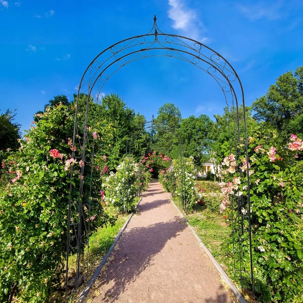 Havepergola - Metal rosenbue espalier - Højde 281 cm - Til klatreroser og planter - Robust konstruktion - Sort