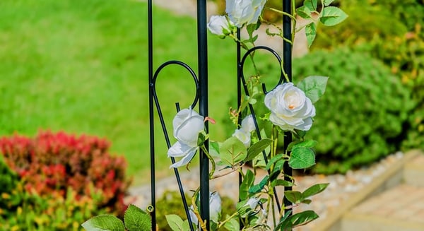 Havepergola - Metal rosenbue espalier - Højde 281 cm - Til klatreroser og planter - Robust konstruktion - Sort