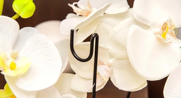 Orkidéstøtte - Plantepind - 50 cm - 10-pak - Til potteplanter & have
