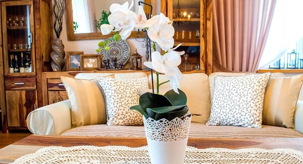 Plantestøtte til orkidé - Støttepinde - 50 cm - 10-pak - Til blomster og potteplanter