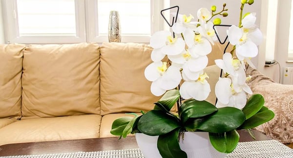 Plantestøtte til orkidé - Støttepinde - 50 cm - 10-pak - Til blomster og potteplanter