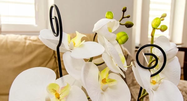 Orkidéstøtte - Blomsterstøttepinde - 50 cm - 10-pak - Have & indendørs