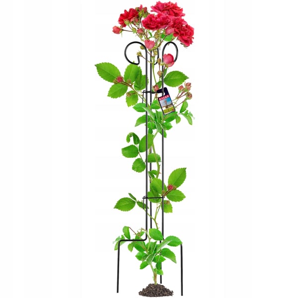 Plantestøtte til roser - Metal blomsterstativ - Til blomsterbed - Højde 120 cm