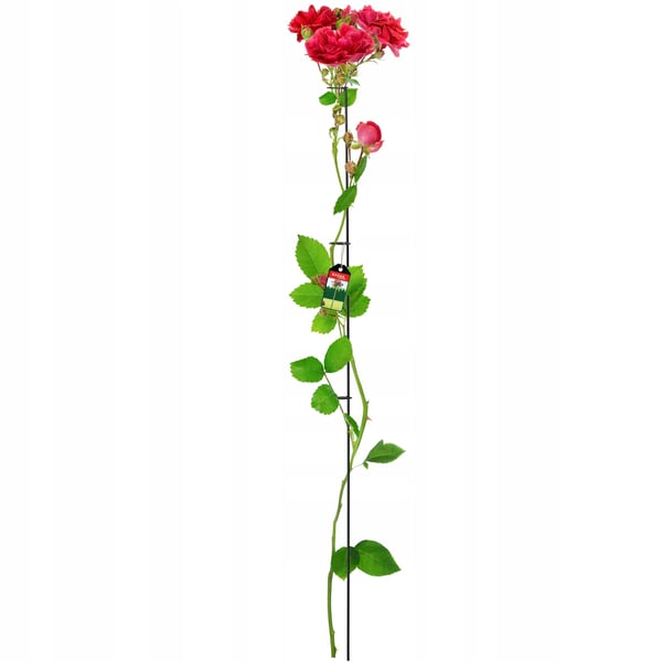 Plantestøtte & Klatrestøtte - Rosenstøtte i metal - 150 cm - Til bede og klatreplanter