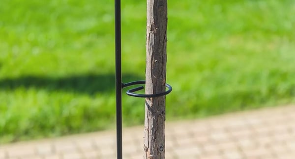 Plantestøtte & Klatrestøtte - Rosenstøtte i metal - 150 cm - Til bede og klatreplanter