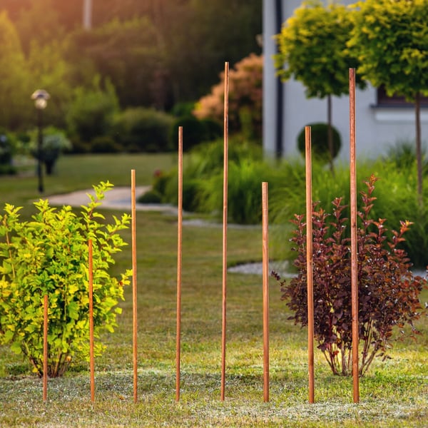 Tomatstøttepæl i træ - Plantepind - 150 cm - Til tomatplanter - Robust havepæl