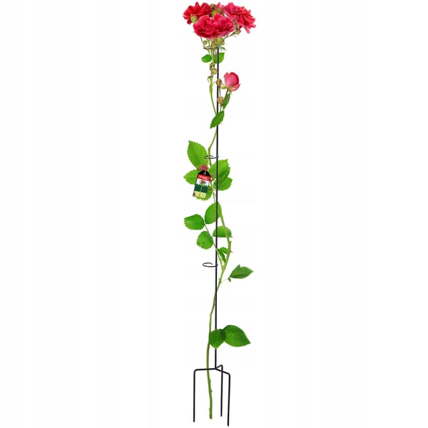 Plantestøtte til roser - Metal - Højde 140 cm - Til blomsterbed - Støttepind