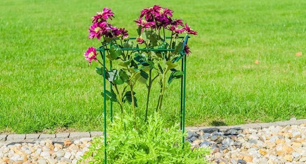 Plantestøtte - Metalstøttepind - Højde 80 cm - Robust konstruktion - Til roser og blomster