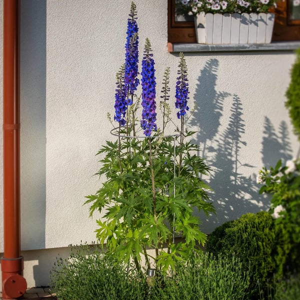 Plantestøtte - Blomsterstøtte i metal - 100 cm - Ringstøtte - Havepind