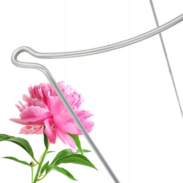 Plantestøtte - Blomsterstøtte i metal - 100 cm - Ringstøtte - Havepind