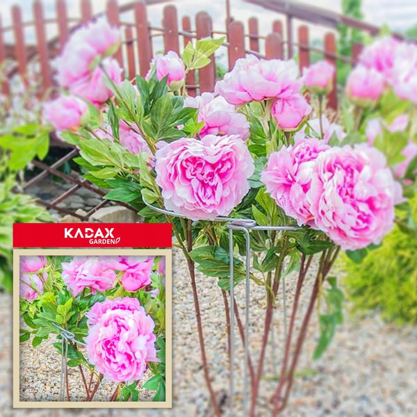 Plantestøtte - Blomsterstøtte i metal - 100 cm - Ringstøtte - Havepind