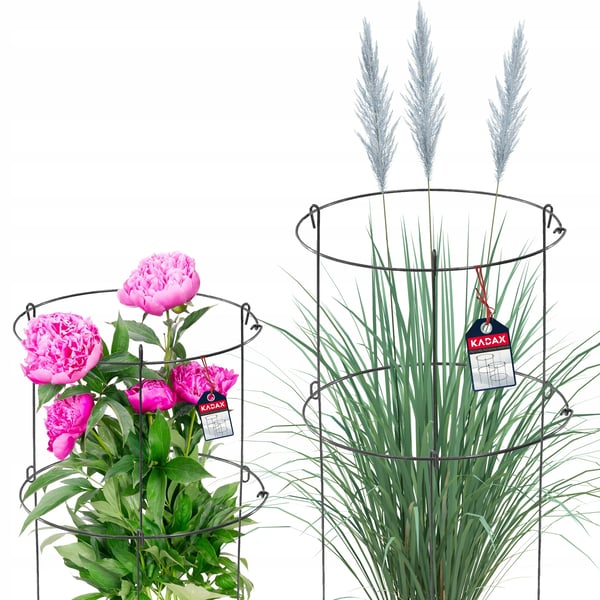 Plantestøtte & Blomsterstøtte - Metalring til roser og blomster - Sæt 60 og 90 cm - Støttepind