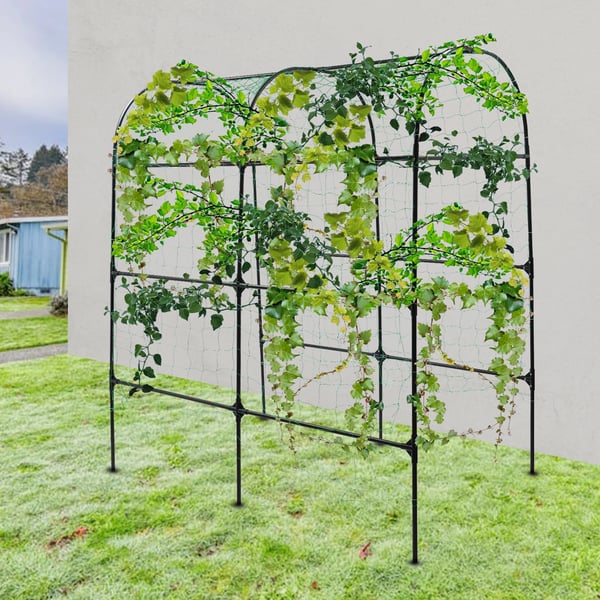 Havebue - Klatrestativ/Rankegitter - Rustbestandig - Stål & PE - Rør Ø20 mm - 115×183×230 cm - Til druer/agurker/sojabønner - Sort