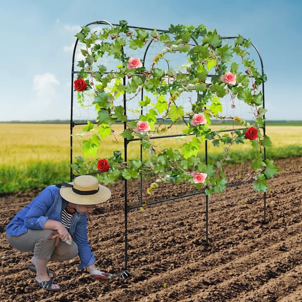Havebue - Klatrestativ/Rankegitter - Rustbestandig - Stål & PE - Rør Ø20 mm - 115×183×230 cm - Til druer/agurker/sojabønner - Sort