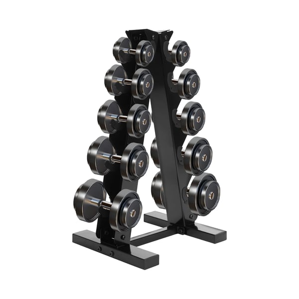 Håndvægtsstativ - Dumbbell Rack - 5 Par Håndvægte - 100 kg Kapacitet - 5 Niveauer - Metal - Ikke-foldbar - Sort