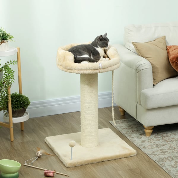 Klösträd & Katträd - 4 nivåer - 55x55x83 cm - Trä - Sisalstolpar - Beige