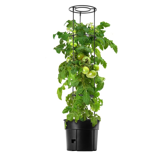 Tomatpotte - Plantekrukke - 12 L - Til Tomatdyrkning
