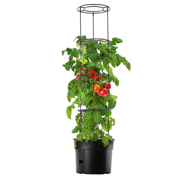 Tomatkruka - Odlingskruka/Planteringskruka - 28 L